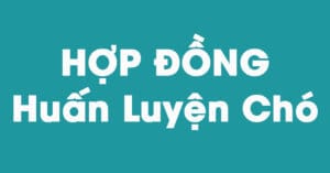 Hợp đồng huấn luyện chó