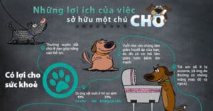 loi-ich-khi-nuoi-cho