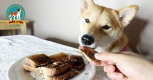 co-nen-cho-cho-an-dau-mo