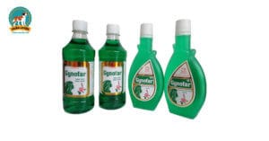 thuoc-tri-viem-da-o-cho