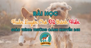 bai-hoc-huan-luyen-cho-du-thanh-hien