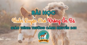 bai-hoc-huan-luyen-cho-khong-an-bay