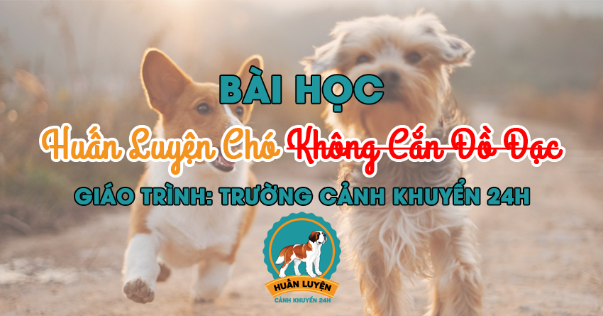 bai-hoc-huan-luyen-cho-khong-can-pha-do-dac