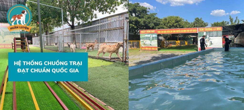 HE-THONG-CHUONG-TRAI-DAT-CHUAN-QUOC-GIA