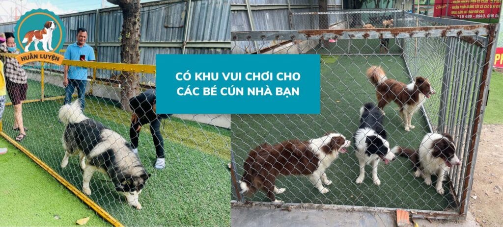 HE-THONG-CHUONG-TRAI-DAT-CHUAN-QUOC-GIA-2